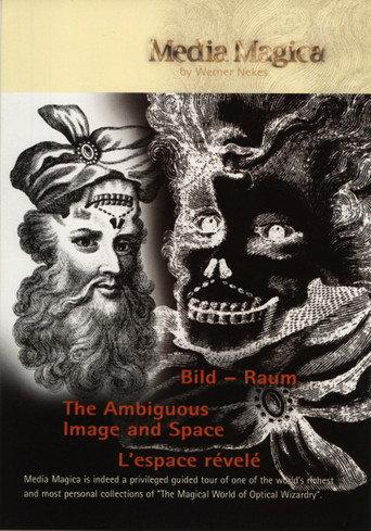 The Ambiguous Image and Space (1996) poster