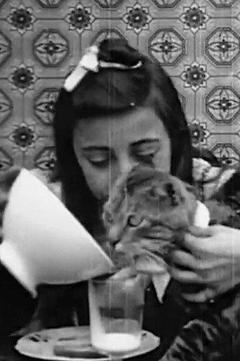 Pussy's Breakfast (1905) poster