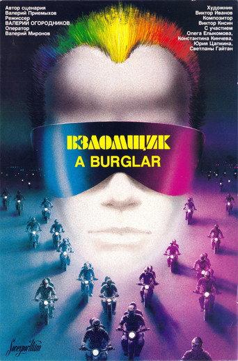 The Burglar (1987) poster