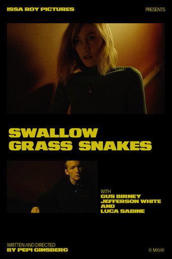 Swallow Grass Snakes (2019) poster