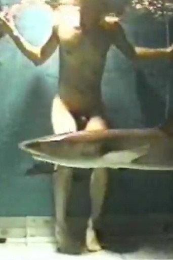 Water Puzzle (2000) poster