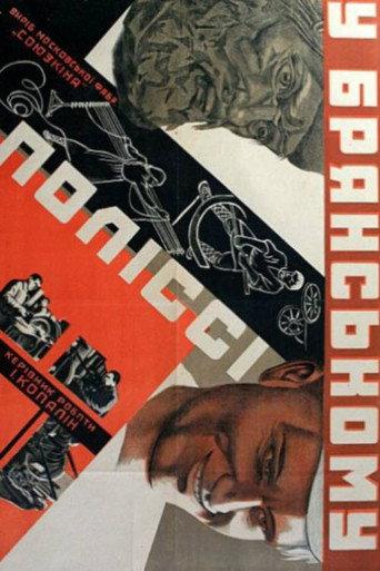 In the Bryansk Polesie (1930) poster