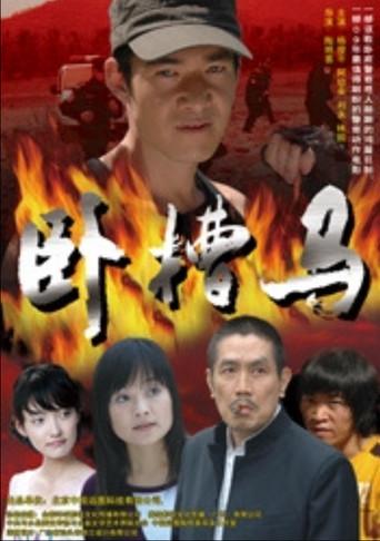 卧槽马 (2009) poster