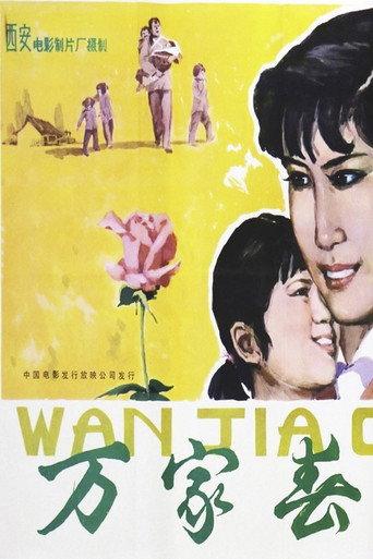 万家春 (1983) poster