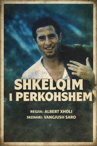 Shkëlqim i përkohshëm (1988) poster