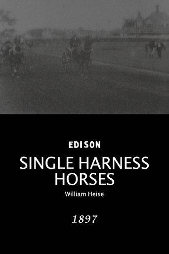 Single Harness Horses (1897) poster
