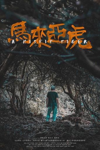 A Misfit Tiger (2025) poster