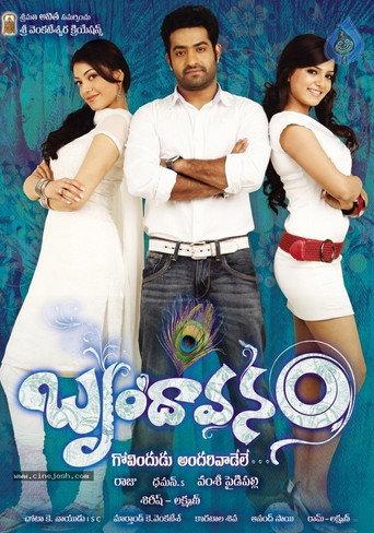 Brindavanam (2010) poster