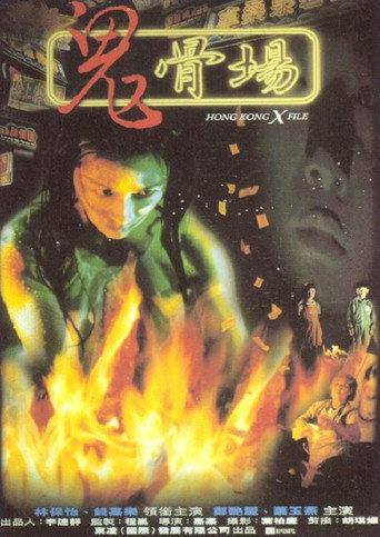 Hong Kong X File (1998) poster