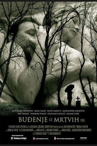 Awakening from the Dead (2005) poster