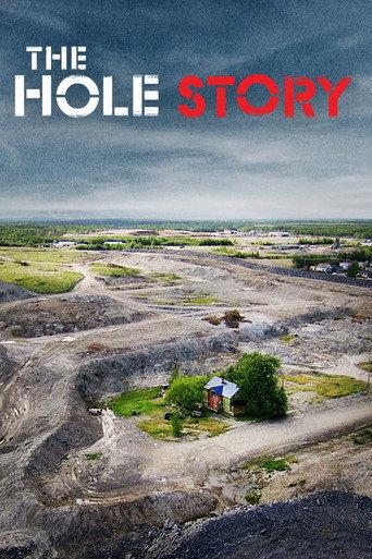 The Hole Story (2011) poster