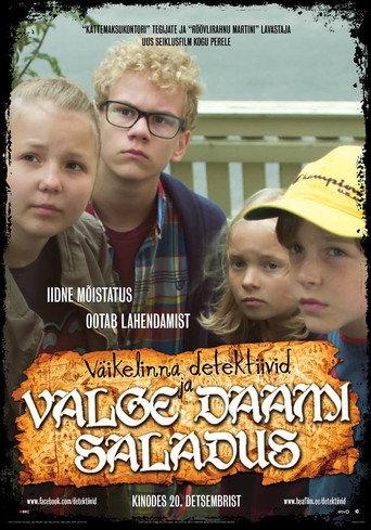 Kid Detectives and the Secret of the White Lady (2013) poster