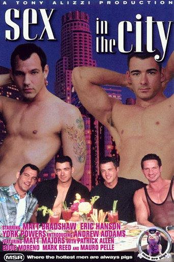 Sex in the City (2001) poster