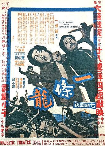 The Chinese Dragon (1973) poster