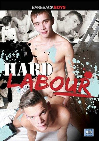 Hard Labour (2013) poster