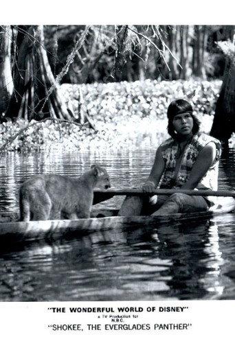 Shokee, the Everglades Panther (1974) poster