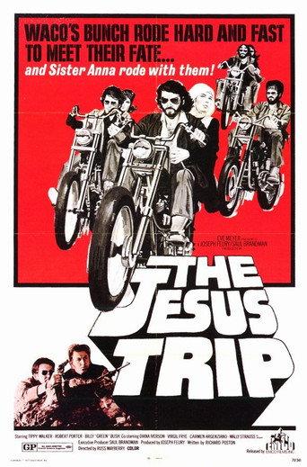 The Jesus Trip (1971) poster