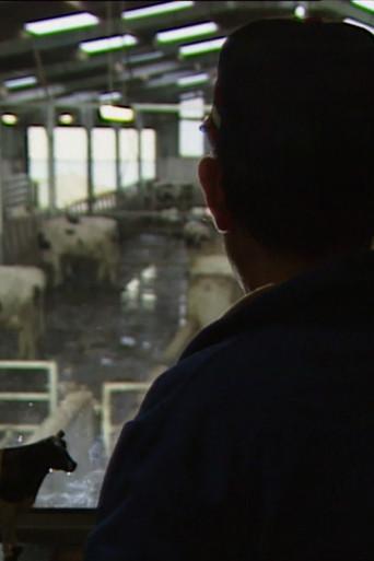 Des taureaux et des vaches (1992) poster