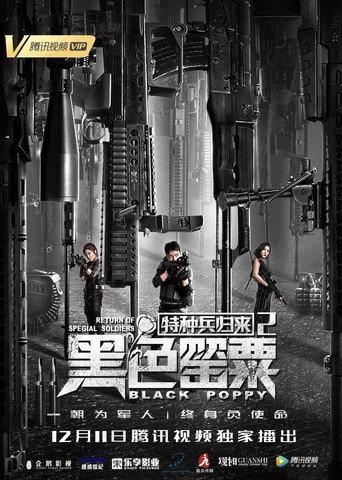 Special Forces Return 2 (2018) poster