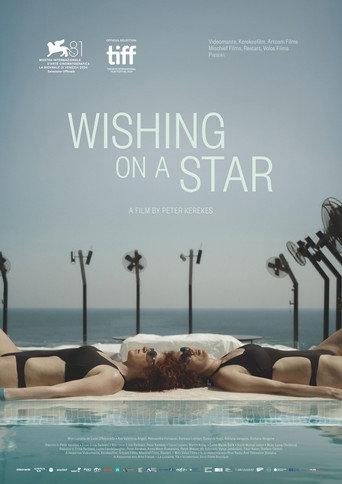 Wishing on a Star (2024) poster