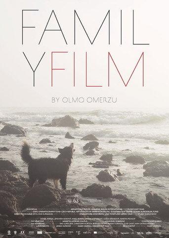 Family Film (2016) poster