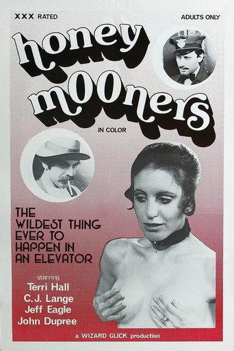 The Honeymooners (1976) poster
