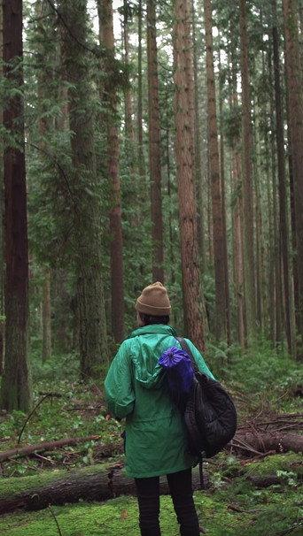 Forest Movie (2017) poster