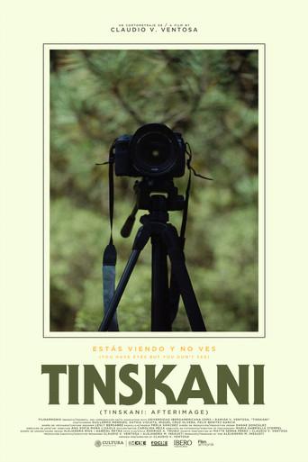 Tinskani: Afterimage () poster