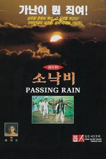 Passing Rain (1995) poster