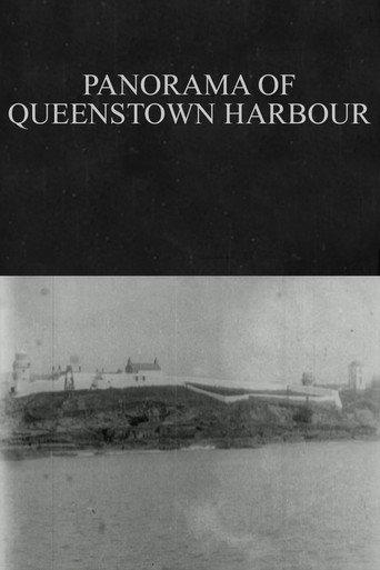 Panorama of Queenstown Harbour (1902) poster