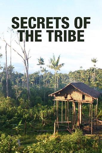 Secrets of the Tribe (2010) poster