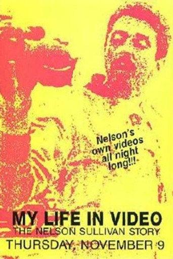 Nelson Sullivan's Video Diaries (1989) poster