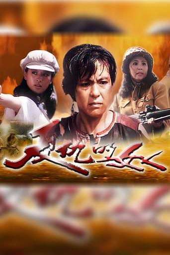 复仇的女人 (1992) poster