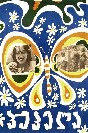 Butterfly (1977) poster