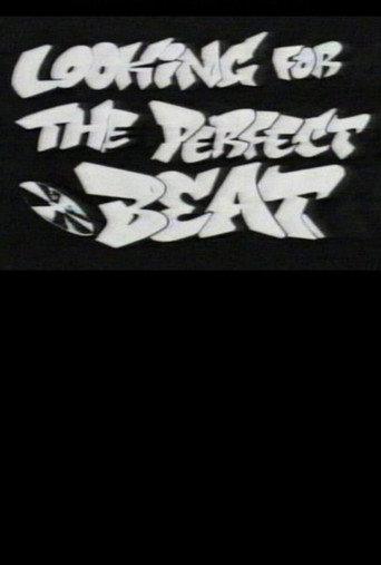 Rap: Looking for the Perfect Beat (1995) poster