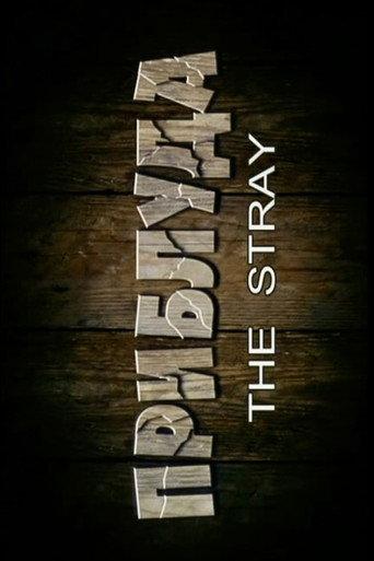 The Stray (2007) poster