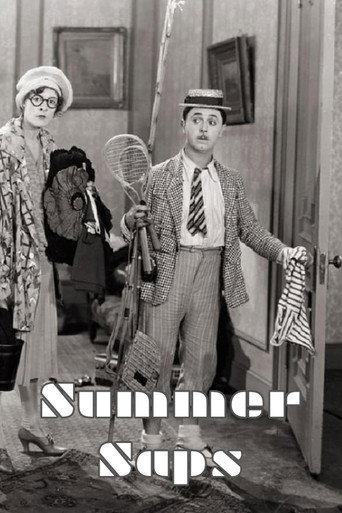 Summer Saps (1929) poster