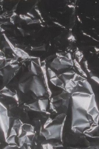 Silver Screen (2000) poster
