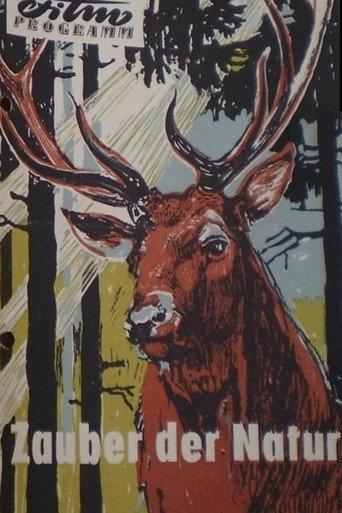 Zauber der Natur (1956) poster