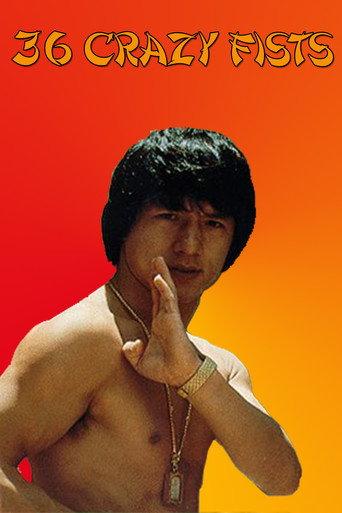 The 36 Crazy Fists (1977) poster