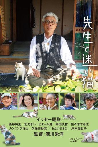 Teacher and Stray Cat (2015) poster