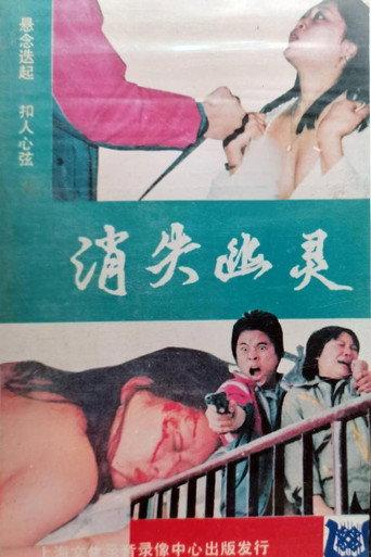 The Disappeared Ghost (1989) poster