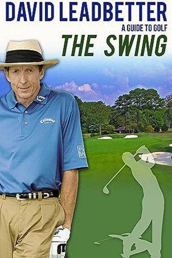 David Leadbetter : The Swing (2005) poster