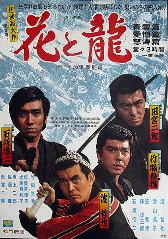 Flower and Dragon (1973) poster
