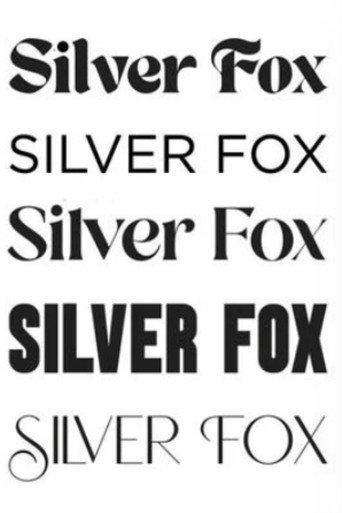 Silver Fox () poster