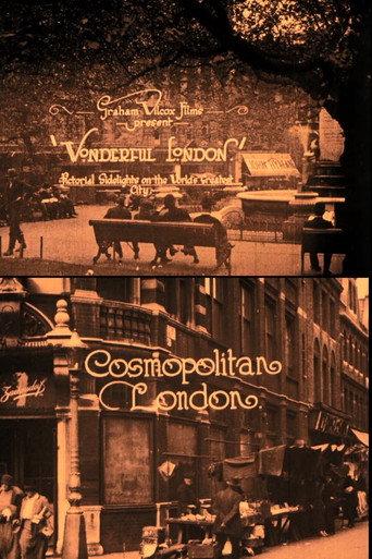 Wonderful London: Cosmopolitan London (1924) poster