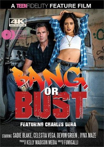 Bang Or Bust (2019) poster