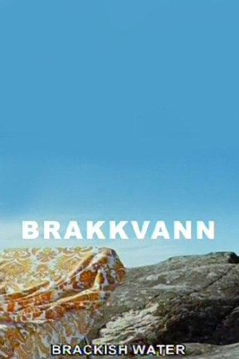 Brackish Water (2007) poster