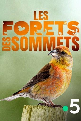 Les forêts des sommets (2017) poster