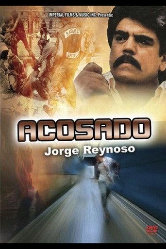 Acosado (1991) poster